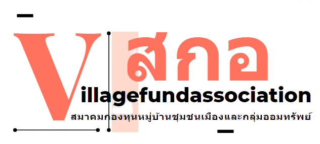 Villagefundassociation.com